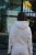 5821de81-ed0a-4ba3-b01f-bacb46644e15.JPG